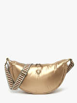 Cross Body Tas Doudoune Le voyage en panier Goud doudoune AHP230